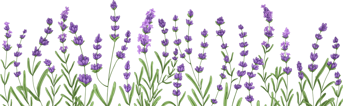 Lavender Flowers Border