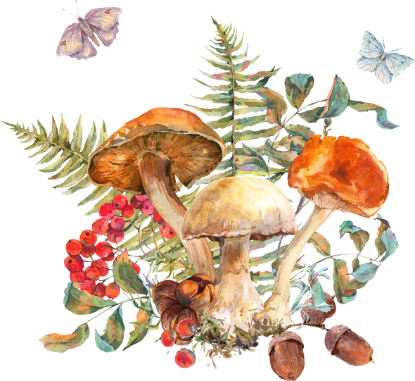 Watercolor botanical mushrooms bouquet